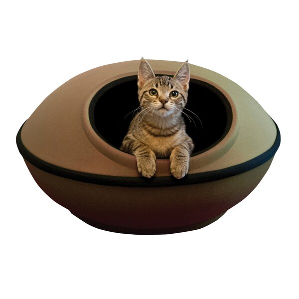 Large covered 2024 cat bed